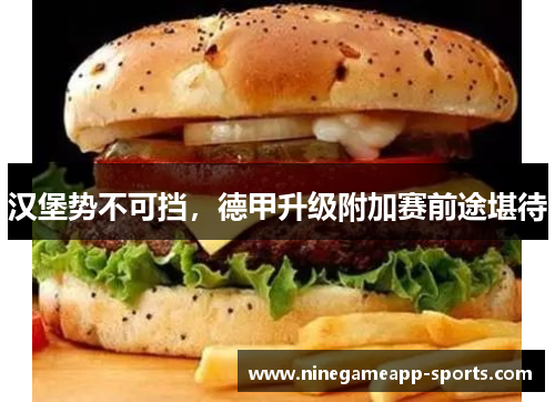 汉堡势不可挡,德甲升级附加赛前途堪待